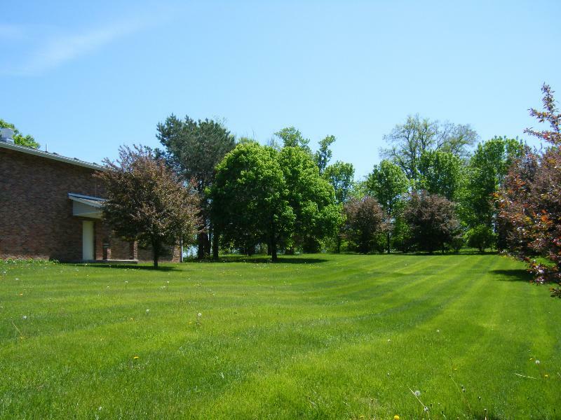 Pommier Indianola
